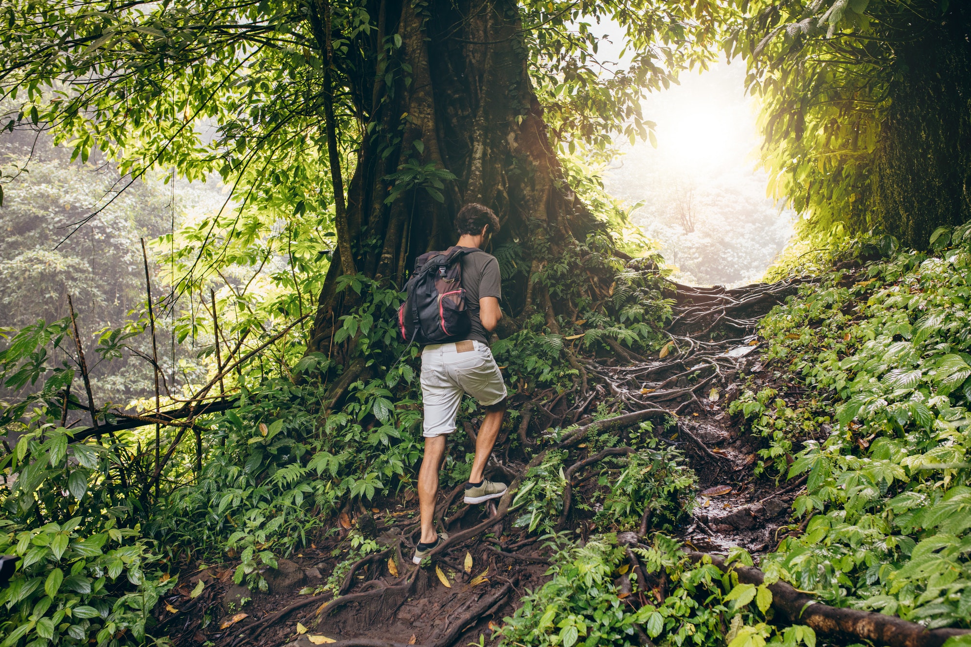 people-hiking-in-tropical-jungle.jpg