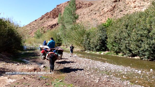 randonnée-vallée-des-roses-Maroc