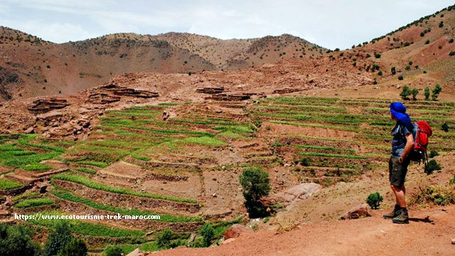 Rando-Haut-Atlas-Toubkal